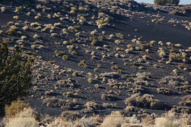 a mountain of ashes